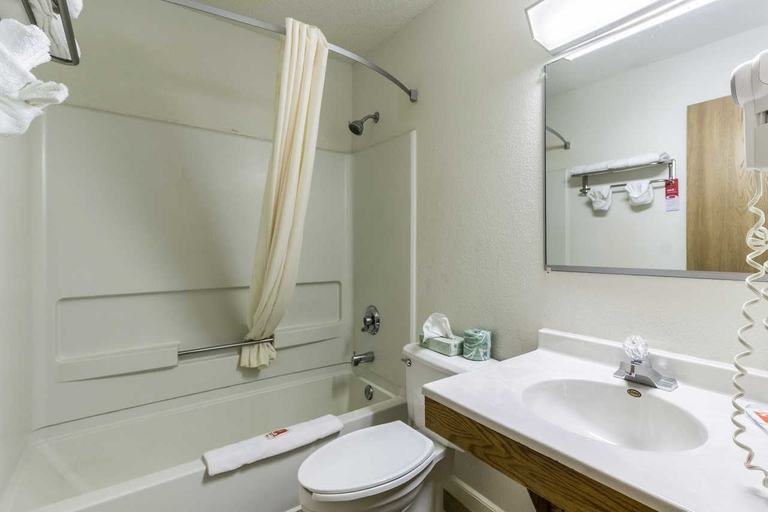 Bathroom 4, Rodeway Inn & Suites Austin I-90, Mower