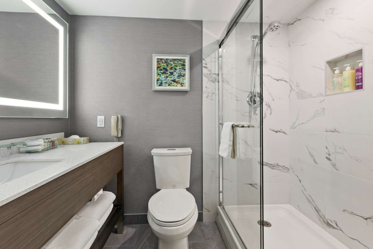 Bathroom 4, Best Western Premier Calgary Plaza Hotel and Conference Centre, Division No. 6