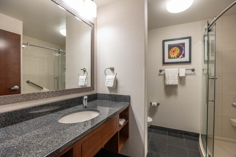 Bathroom 5, Drury Plaza Hotel Columbia East, Boone