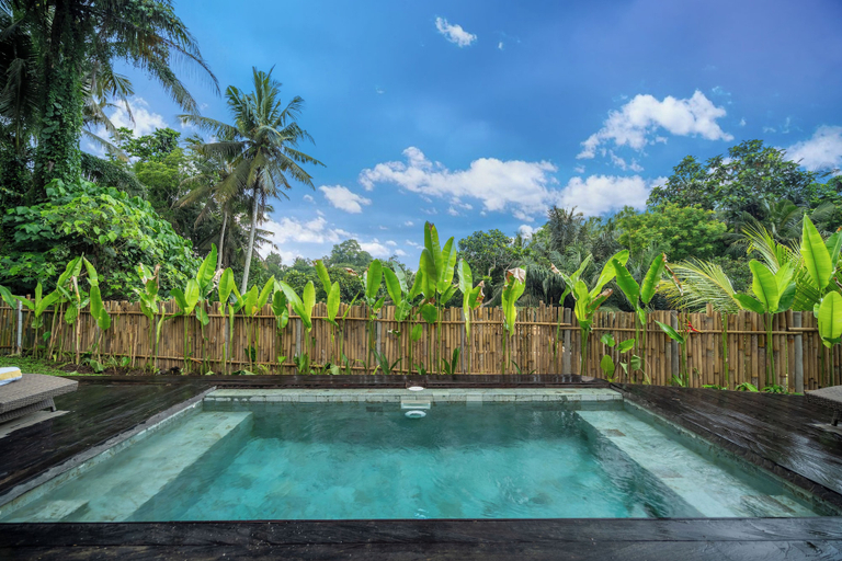 Pool, Villa Taman Jiwa, Gianyar
