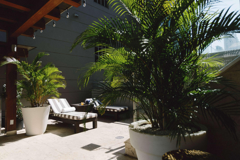 Sport & Beauty 2, Bristol Panama, a Registry Collection Hotel, Panamá