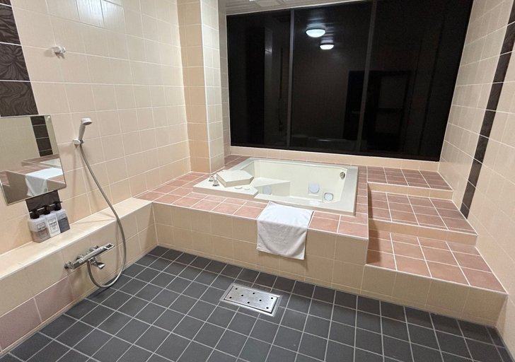 Bathroom 5, Park Hotel, Osaka