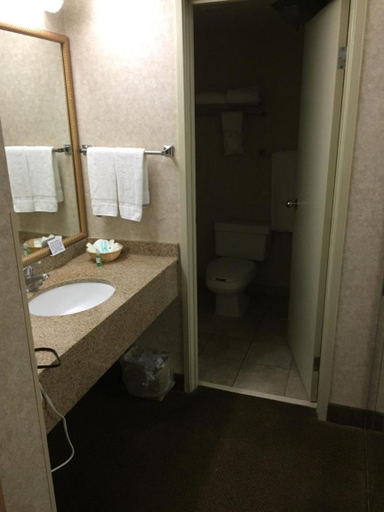 Bathroom 3, Quality Inn and Suites Downtown University Area, Bernalillo