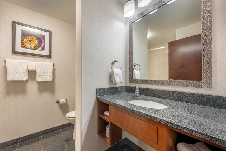Bathroom 5, Drury Plaza Hotel Columbia East, Boone