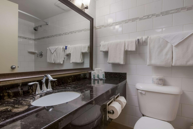 Bathroom 4, Best Western Brantford Hotel & Conference Centre, Brant