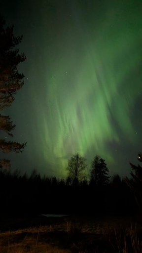 Others 5, Kota, South Karelia