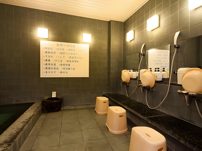Bathroom 4, Super Hotel Satsuma Sendai, Satsumasendai