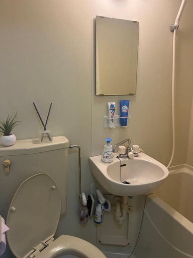 Bathroom 3, Garden Otsuka, Toshima