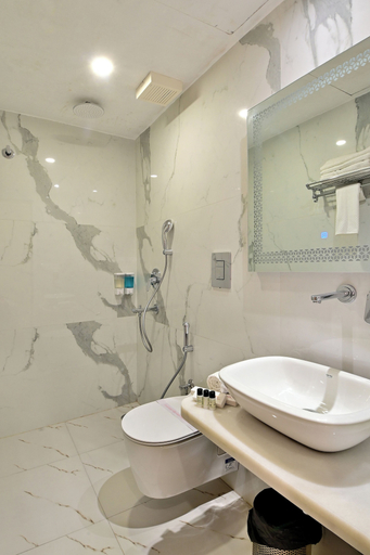 Bathroom 3, Hotel Aman International at New Delhi Station, Delhi