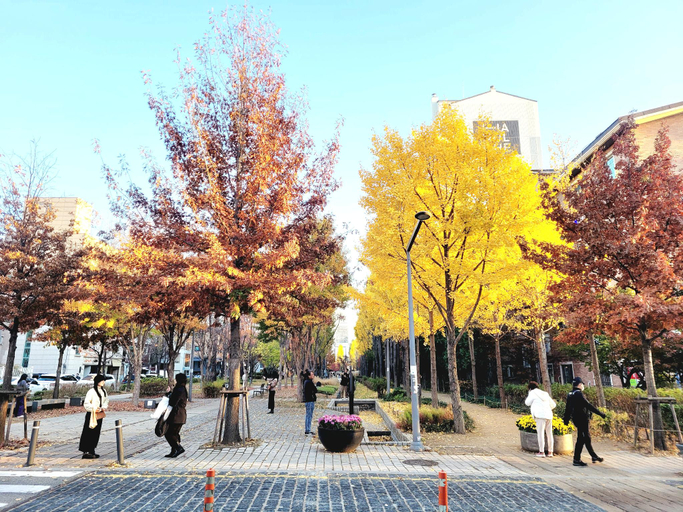 Others 3, Sweet Memory#1 Hongdae Stn.5min /1BR Apt & Rooftop, Mapo