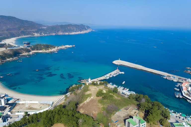 Others 4, Ilmare Pension, Samcheok