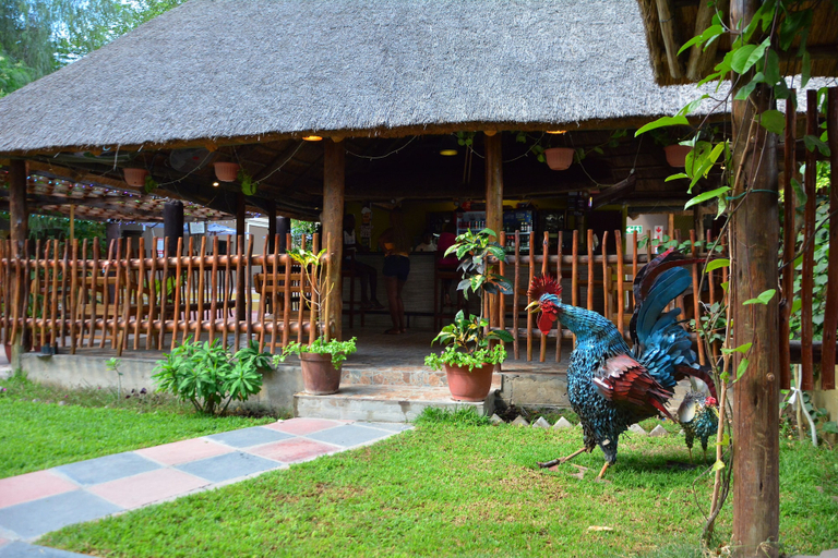 Poolside bar, Three Tree Hotel, Ngamiland East