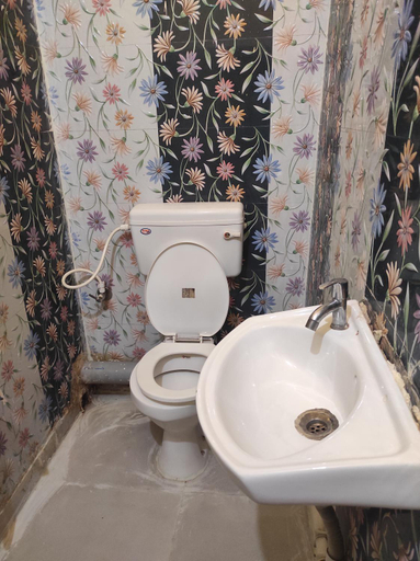 Bathroom 3, Rathore Inn, Haora
