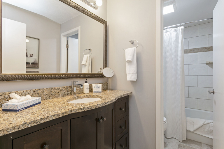 Bathroom, Snowlion Condos 208 2 Bedroom Condo, Eagle