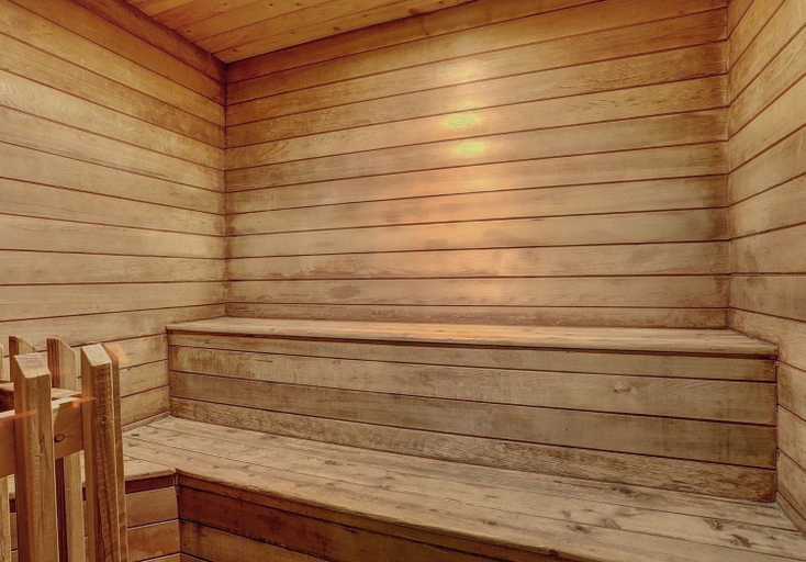 Sauna, 1147 Flying Dutchman 1 Bedroom Condo, Summit