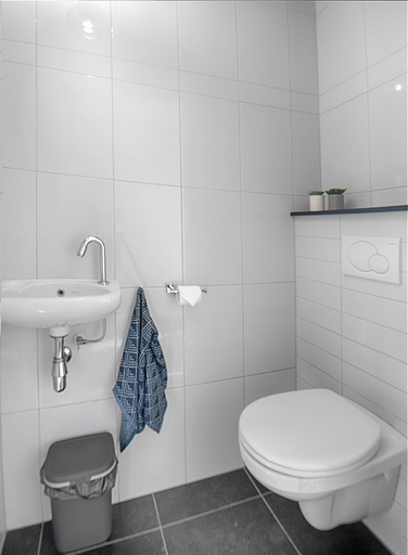 Bathroom 5, Resort Boschmolenplas, Heel
