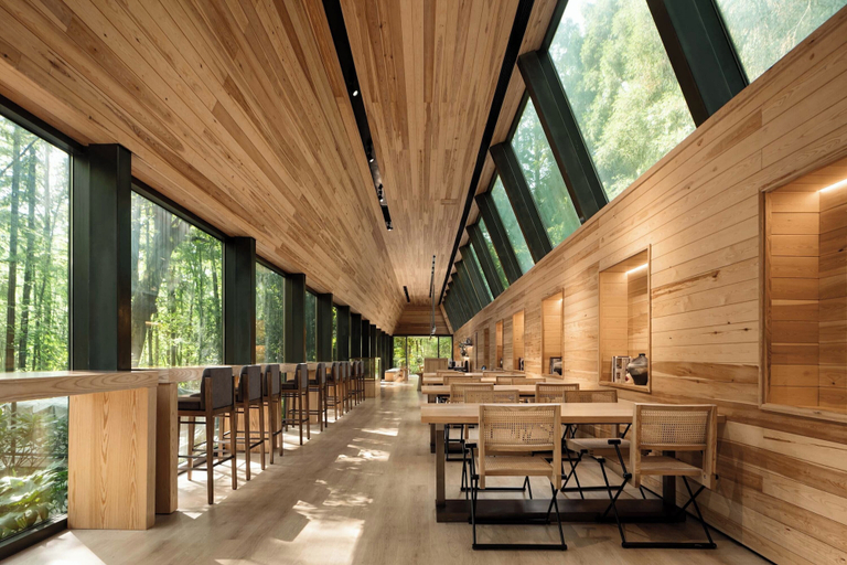 Coffee shop 4, LOSTLODGE Dongming Mountain, Hangzhou
