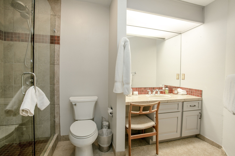 Bathroom 5, 770 Potato Patch 4 Bedroom Townhouse, Eagle