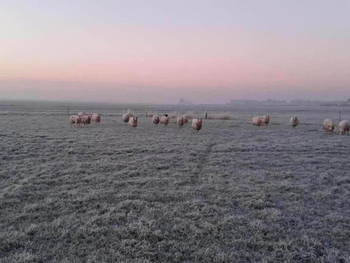 5, Lakeside Farm Stay, Friesland, Skarsterlân