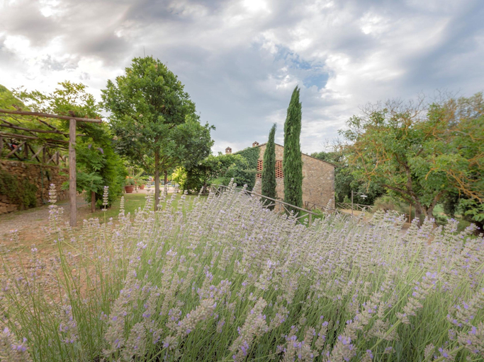 Room 3, Apartment in Chianti With Pool ID 513, Siena