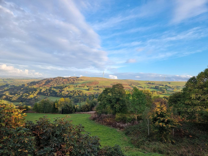 3, Luxury Welsh wooden cabin, Denbighshire