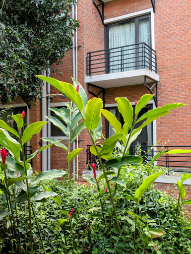 Others, Transtree at Brookefield - Corporate Stays, Bangalore