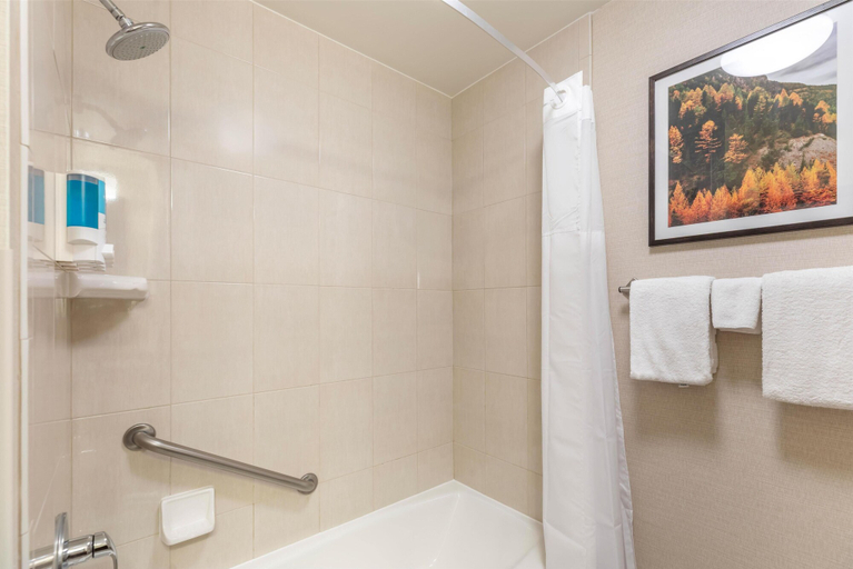 Bathroom 5, Drury Plaza Hotel Denver Central Park, Denver