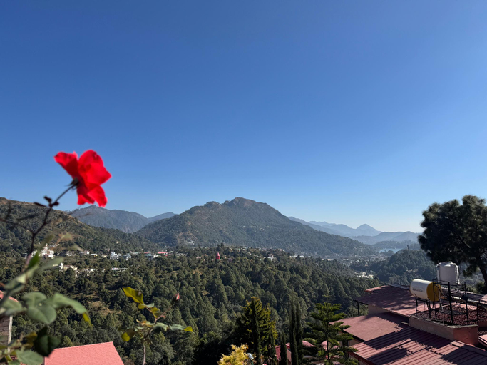 Others 3, Ceedar Cottages, Nainital