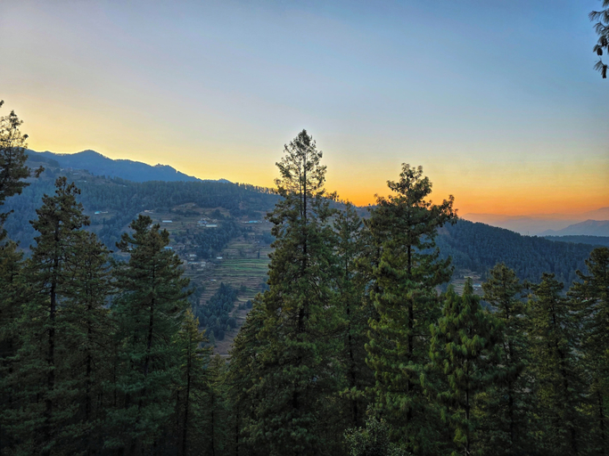 View from property, Kufri Farms, Shimla