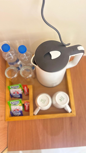 Room 3, BAEL TREE HOTEL, Hyderabad