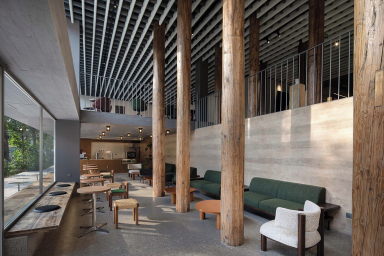 Coffee shop 3, Árbol Moganshan Yucun, Huzhou