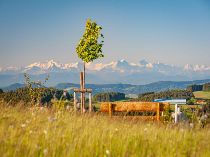 Others 5, Haus Sonnenschein an der Skipiste, Waldshut