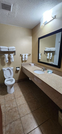 Bathroom 4, Quality Inn Dry Ridge, Grant