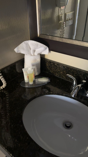 Bathroom 4, Arab Knights Inn, Marshall