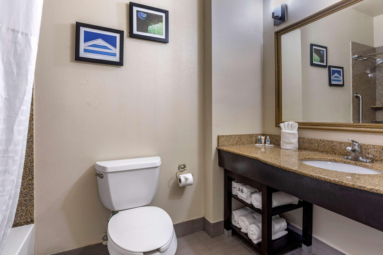 Others 3, Comfort Suites Shreveport West I-20, Caddo