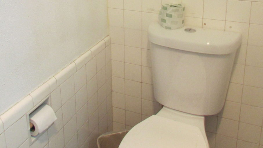 Bathroom 5, Mountain Star Inn, Iron