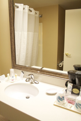 Bathroom 4, Comfort Inn Bellingham, Whatcom