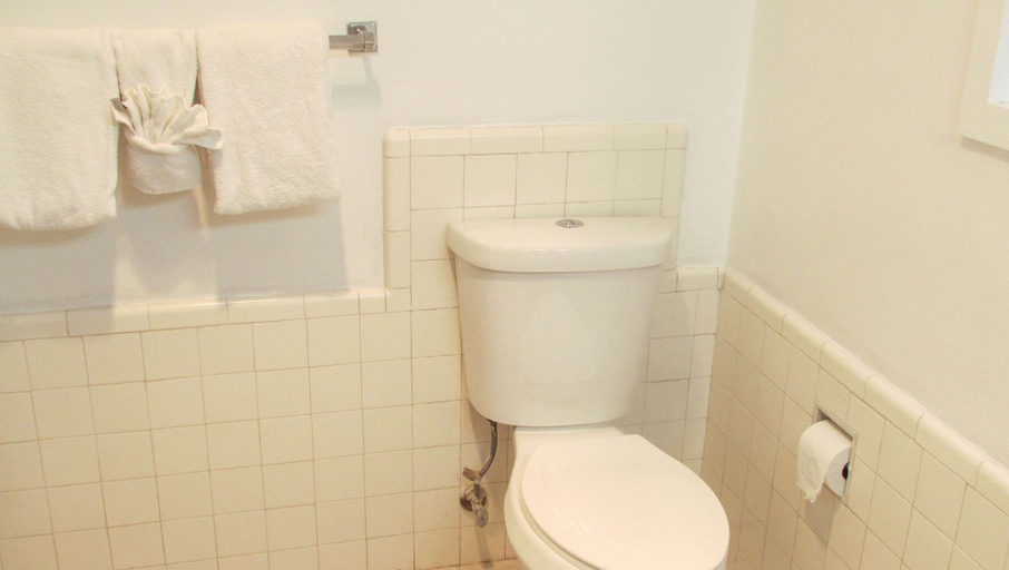 Bathroom 5, Mountain Star Inn, Iron