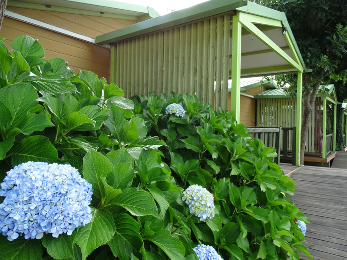 Front of property 5, Camping Rianxo, A Coruña