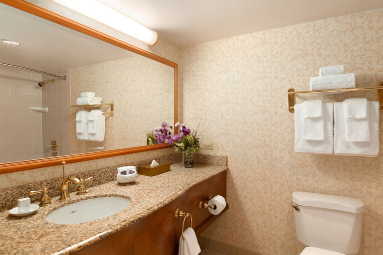 Bathroom 4, Harrah's Council Bluffs Hotel & Casino - A Caesars Rewards Destination, Pottawattamie