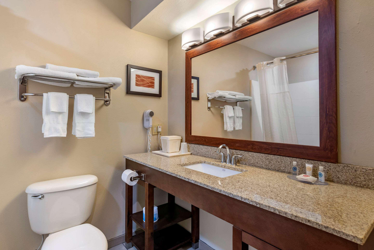 Bathroom 4, Comfort Inn Amite City, Tangipahoa