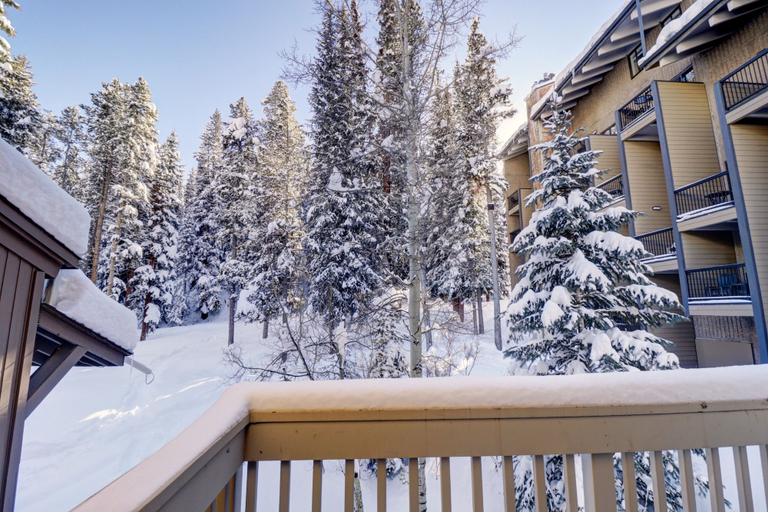 Property grounds 4, Ten Mile Haus C-9 2 Bedroom Condo, Summit