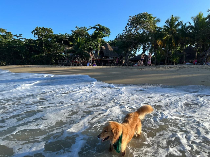 Exterior 3, Bohio de Playa, Sosua