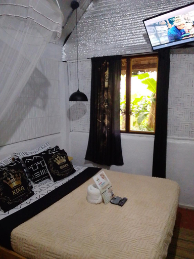 Bedroom 2, Two crazy monkeys , Daanbantayan