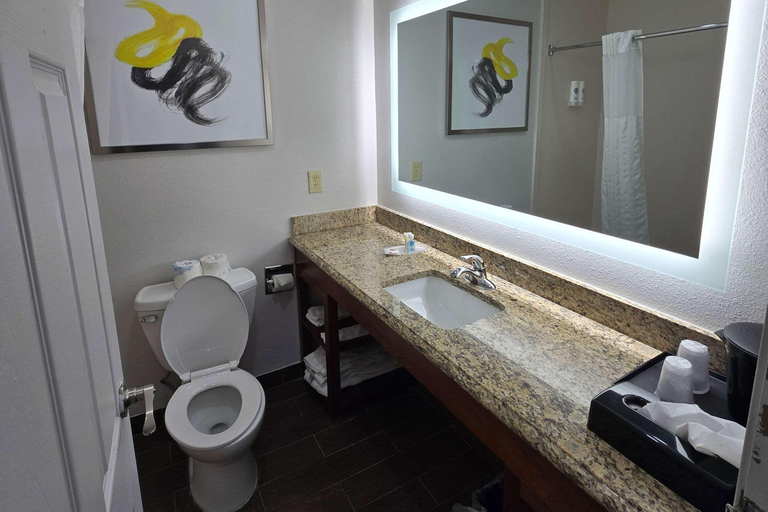 Bathroom 4, Comfort Suites Terre Haute University Area, Vigo