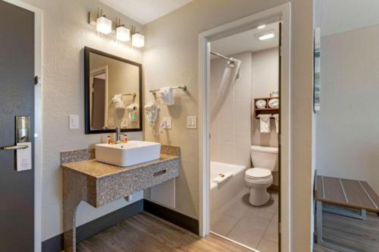 Bathroom 3, Garner Hotel PIGEON FORGE DOWNTOWN by IHG, Sevier