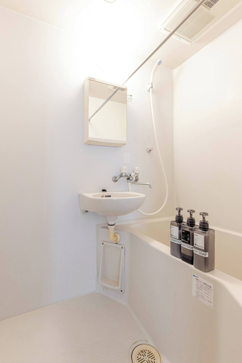 Bathroom 4, SW Nishi-Waseda Building 202, Shinjuku