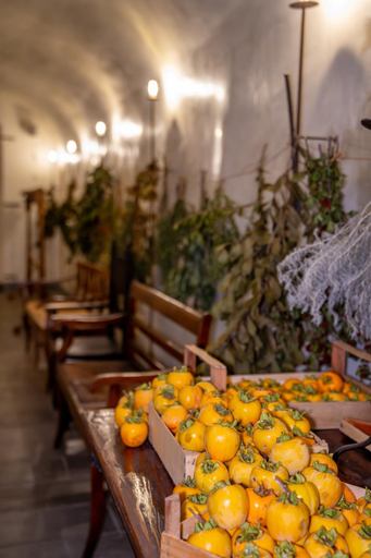 Food & Drinks 5, Cappuccini Resort, Brescia