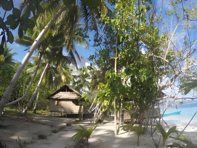 Others 4, Yenros Homestay, Raja Ampat