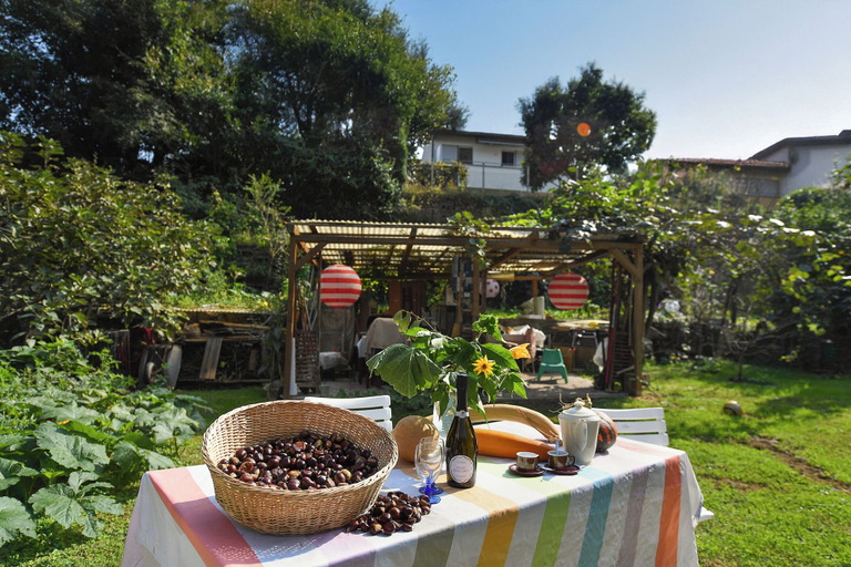 Outdoor dining 5, Petit Jardin, Lugano